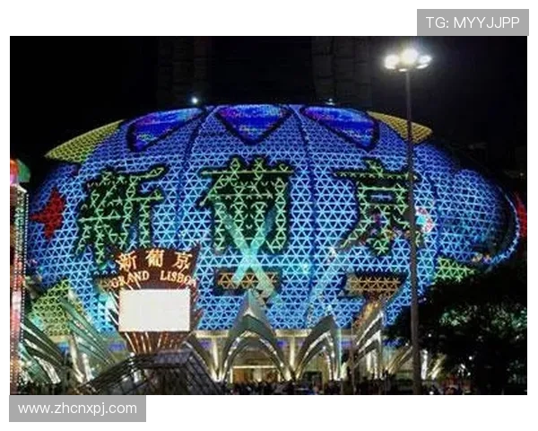 澳门新葡京官网入口多渠道登录方式，满足不同玩家的使用需求与偏好