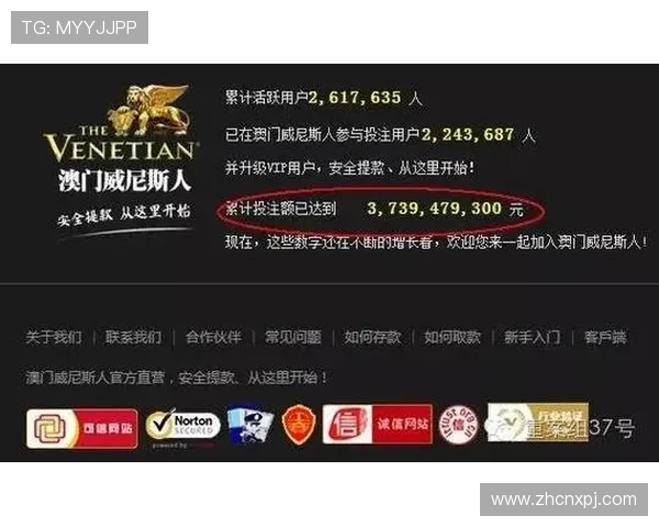 新葡京网站登录入口官方推荐渠道，确保玩家使用正规入口保障账号信息安全与游戏顺利进行